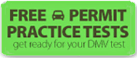 Free MVD Practice Tests