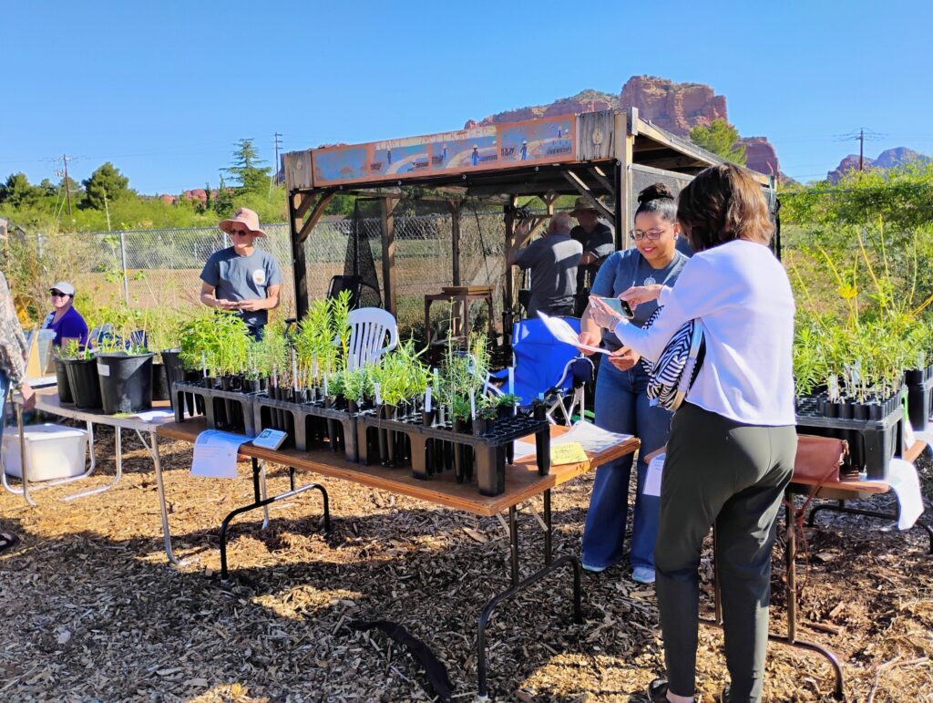 Community Garden